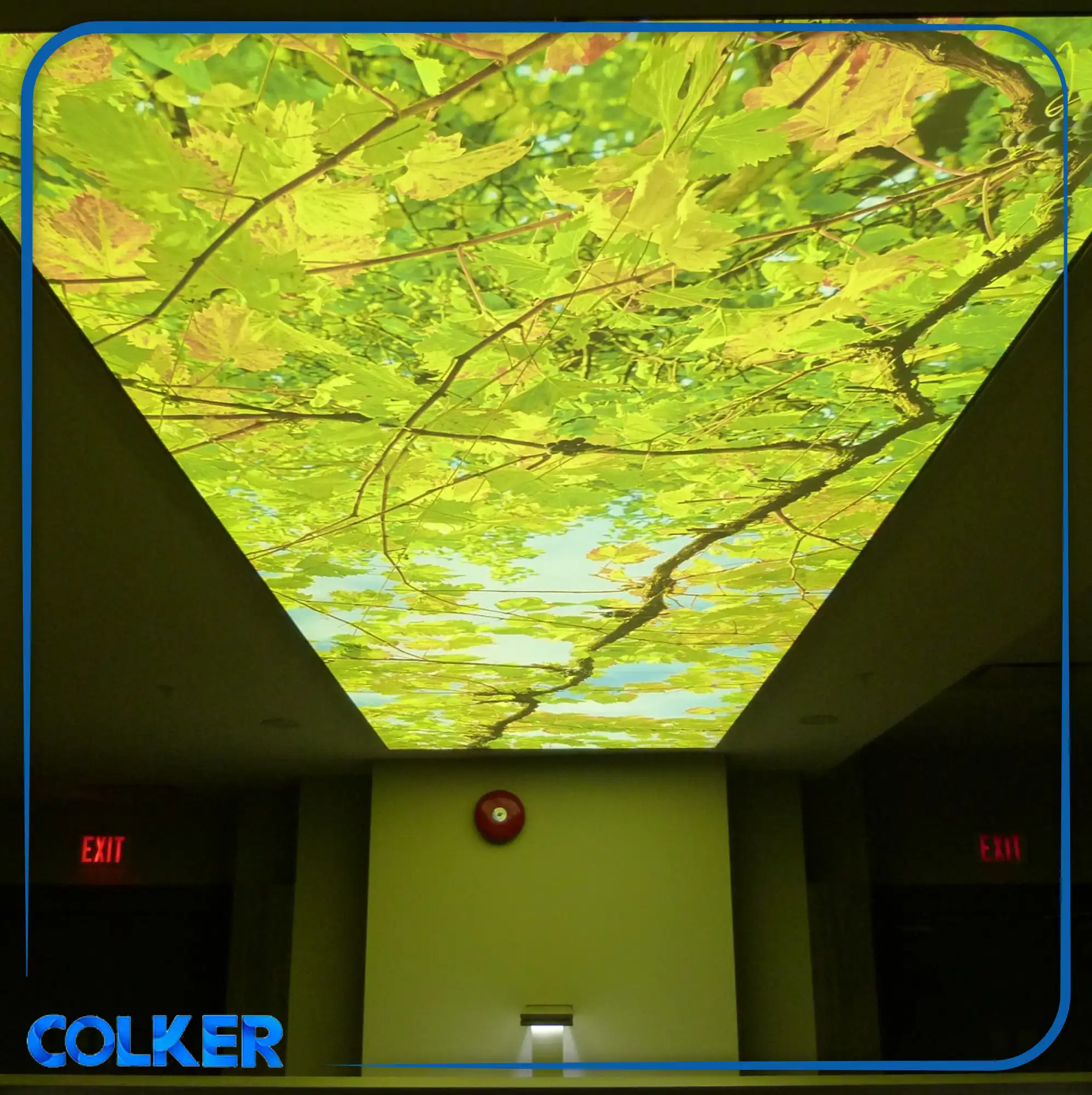 Printed stretch ceiling (ccolker.org) سقف کشسان چاپی